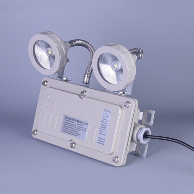 Dual Spot Light Explosion-Proof IP65 Exit Sign Emergency Light for Fire Escape Safety